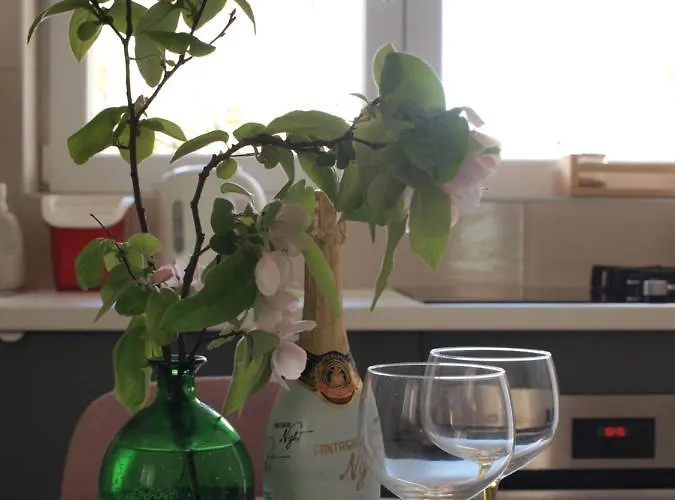 公寓 Luce 扎达尔